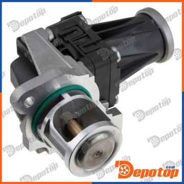 Vanne EGR pour RENAULT | 147107172R, EGR-RE-016